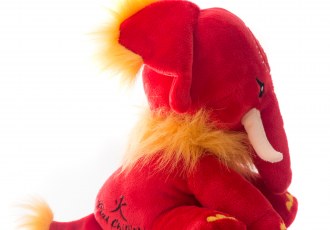 Introducing Dahong Photo - 3