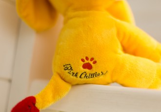 Pink Chillies Photoshoot Photo - 11