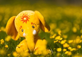 Pink Chillies Photoshoot Photo - 16